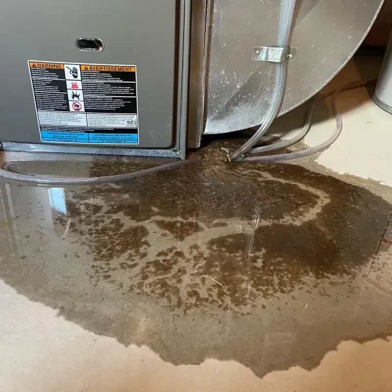 Appliance Leak Cleanup in Collinsville, AL